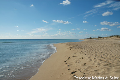 Casa vacanze pescoluse marina di salve