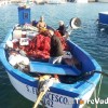 La tradizione della pesca. Porto turistico di Torre Vado estate 2012 