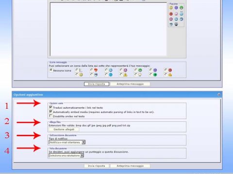 risposta opzioni aggiuntive