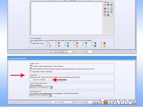 pulsante gestione allegati