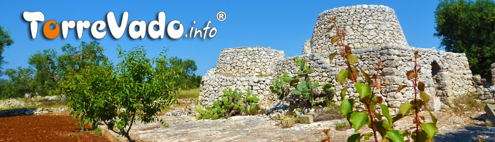 Logo Torrevado.info foto trullo ulivi nel Salento