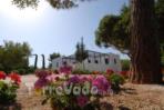 foto Hotel Lido Venere Garden