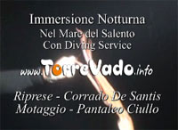 immersione notturna
