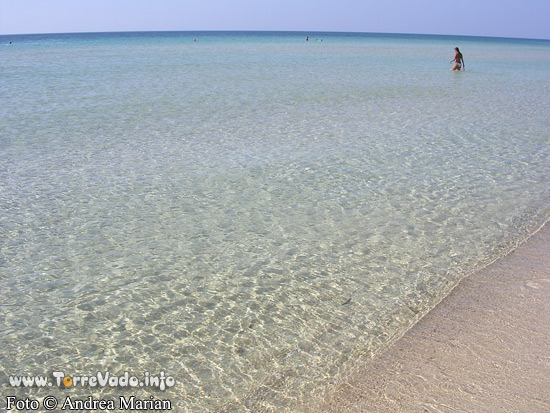 spiaggia pescoluse