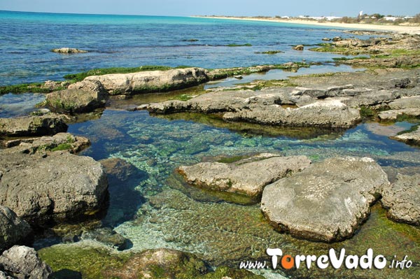 Le Sorgenti a Torre Vado