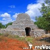 Pajara (Trullo) del Salento - Estate 2007