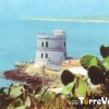 Torre Di Torre Vado. Foto storica scattata decine di anni fa. Ringraziamo Sandrino Quaranta per la disponibilit�.
