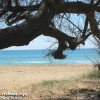 Angolo di Spiaggia in Localit� Posto Vecchio