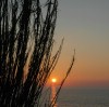 Tramonto sul mare di Torre Vado. Gennaio 2005