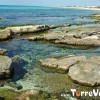 Le Sorgenti a Torre Vado, acqua sorgiva dolce nel Mare di Torre Vado 