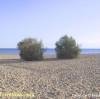 La meravigliosa spiaggia di Posto Vecchio dopo Torre Vado