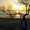 Il sole tramonta in Ottobre e gli alberi lo accolgono fra le loro braccia...