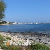 Torre Vado nel mese di Agosto 2009.Una splendida foto da cartolina del luogo dove � possibile ammirare la bellezza dei colori del mare e sullo sfondo la torre di Torre Vado.