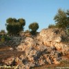 Una natura tutta Salentina