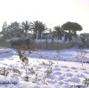 Ricordi... Neve a Morciano di Leuca 