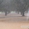 da Tricase foto di un giorno di pioggia nel mese di Gennaio