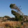 Paesaggi del Salento