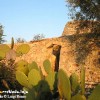 Foto ad un trullo in localit� 