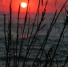 Cannizzi al Tramonto nel Salento