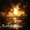 Tramonto tra gli alberi.jpeg.Tramonto a Torre Vado nel mese di Agosto 2009.Foto scattata sulla spiaggia adiacente al porticciolo,tra i rami di un albero situato sulla spiaggia.