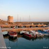 Il Porto Turistico di Torre Vado - 15/03/2005