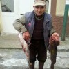 Lu Ronzu Ciardu - Oggi si mangia pesce due cernie dellu ronzu :-)