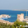 Porto Torre Vado con torre Saracena sullo sfondo la magnifica spiaggia di pescoluse.