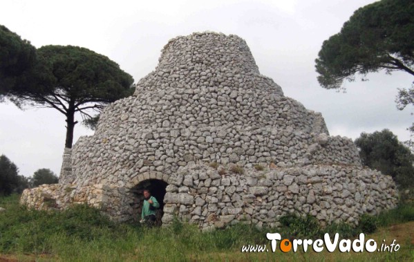 Il Monumentale Pajarone di pozzomauro certamente realizzato da maestranze specializzate 