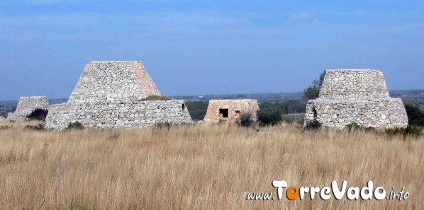 complesso di pajare con forno