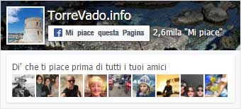 Pagina Facebook TorreVado.info