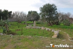 masseria-santu-lasi-salento-08