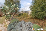 masseria-santu-lasi-salento-09