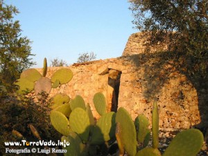 campagna-payara-lr