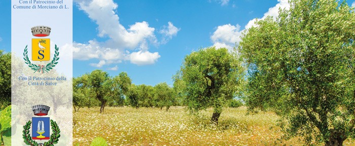 Copertina guida Salento (guida Ricordo) 2014