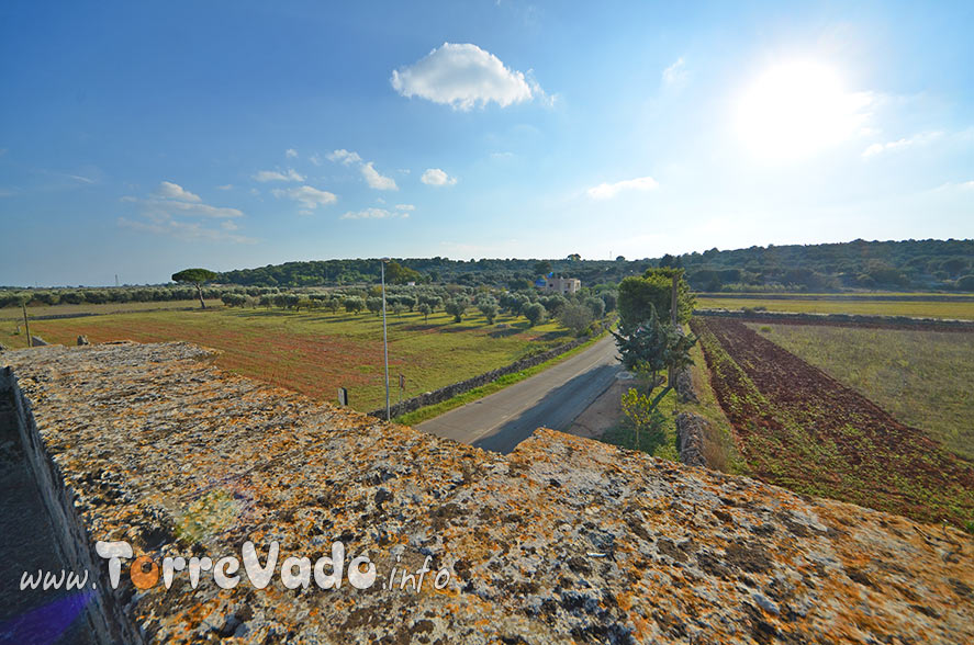 veduta campagna salentina leuca piccola