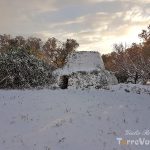 neve pajara salento