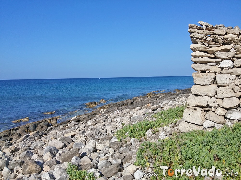 spiaggia nepole torre vado