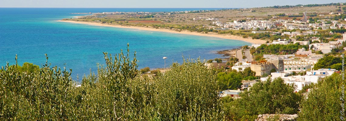 Vista da Torre Vado e Spiaggia Pescoluse