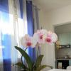 Villa Bauhaus (foto 17) - Salento