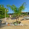 Villa Valeria (foto 8) - Salento