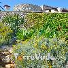 Villa Valeria (foto 59) - Salento