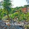 Villa Valeria (foto 60) - Salento