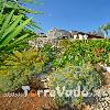 Villa Valeria (foto 63) - Salento