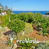 Villa Valeria (foto 65) - Salento