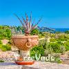 Villa Liscedde (foto 44) - Salento