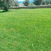 Villa Exclusive VIP (foto 5) - Salento