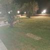 Villa Exclusive VIP (foto 35) - Salento