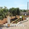 Casa Fernanda con piscina girasole (foto 3) - Salento