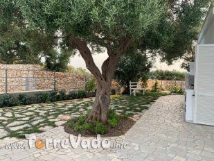 Immagine Casa Nausicaa in Puglia - Clicca qui per visualizzare i dettagli