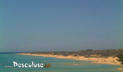 Webcam Spiaggi di Pescoluse - Maldive del Salento